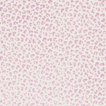 Aestheticstrawberries
