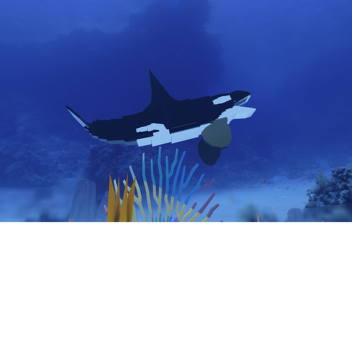 Sea animals Rp