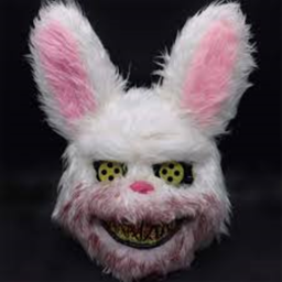 Find the bunny