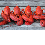 LOBSTER PALS!!!