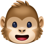 Silly Monkey Studio