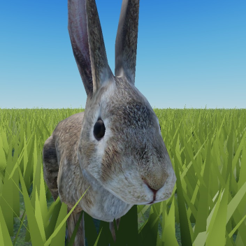 run around in a field simlator