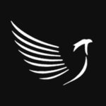Bevotie Interactive