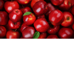 Apples are amazing