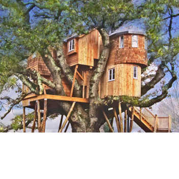 Admin Poptart Rainbow Cat Chat Voice Treehouse Han