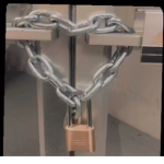ѕυnғlowerѕ