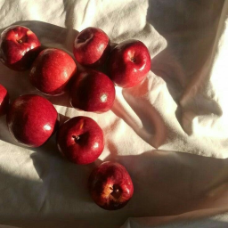 ⋆｡‧˚ʚ🍎ɞ˚‧｡⋆