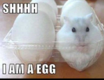 Shush I'm an egg
