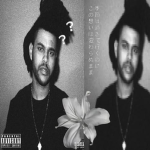 the weeknd xo's