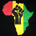 ~AFRICAN FIGHTING REVOLUTIONARY ORGANIZATION~