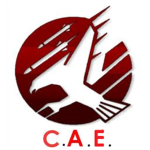 Combat Assault Empire