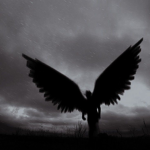 Dark angel's Wardrobe.