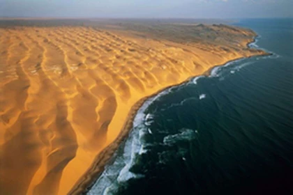 Sea Of Desert Roblox group icon
