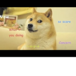 Doge armed force
