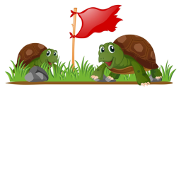 turtle flag attack