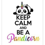 Panda unicorn group :)