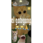 el gatogang