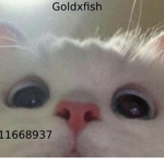 Goldxfish