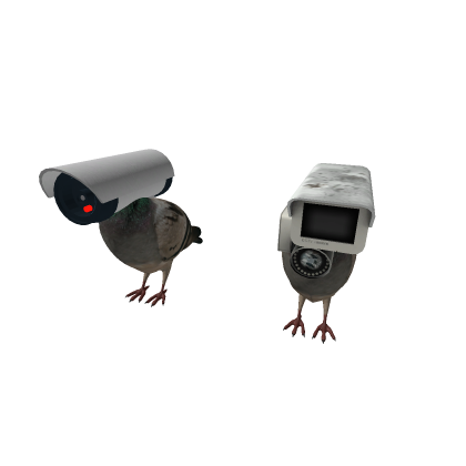 Camera Pigeons