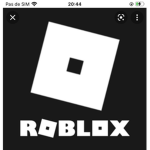 The pro de roblox