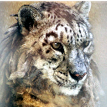 Welcome to my profile! :D