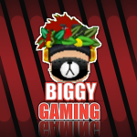 BIGGYGAMING CROUP