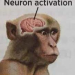 Neuron Activation