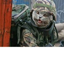 cat army training base