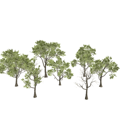 Realistic Southern Swamp Trees Pack