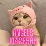 ᴀɴɢᴇʟ$ !