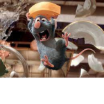 - ratatouille clan -