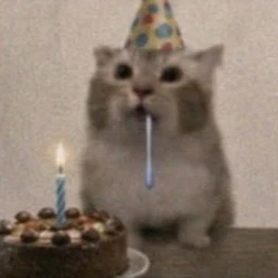 Sourzi cumpleañoz ugu icon