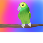 bird squad forever