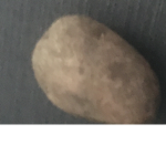 Potato GROUP:)(: