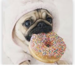 Pugz club