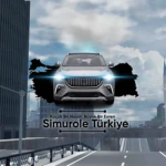 Simurole Turkiye Group Thumbnail