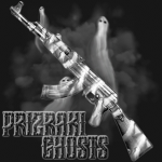 P R I Z R A K I