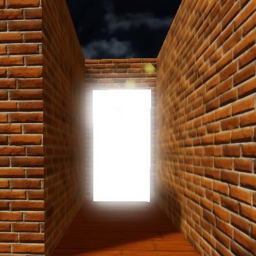 The Maze
