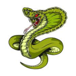 Venomous Fashion