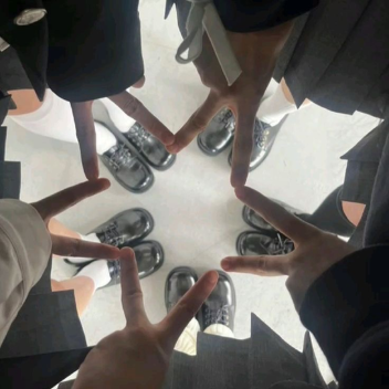 H a s u e l