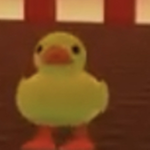 Quack-Duck squad!