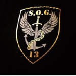 Special Operations Group [SOG] [Fox Hound]