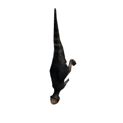Pachycephalosaurus (Jurassic Park & World)
