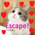 ESCAPE THE CAT OBBY! [NEW]