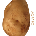 INT Potato Industries