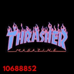 Thrasher Outfits