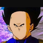 Saiyan Armed Forces