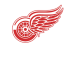 Boys team red wings