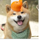 안전한 전초기지