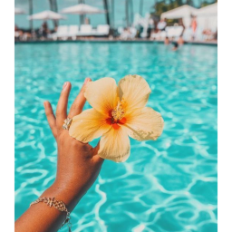 🌺
